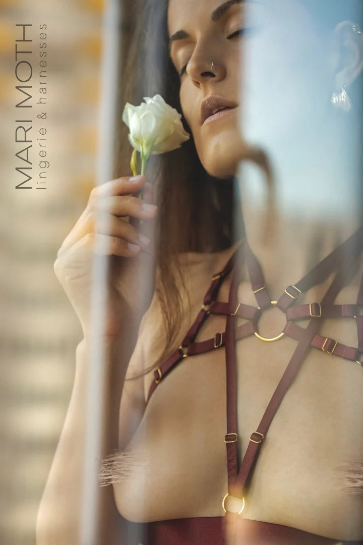 Harness Set Valentine