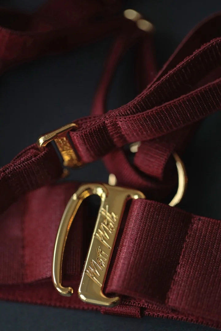 Harness Set Valentine
